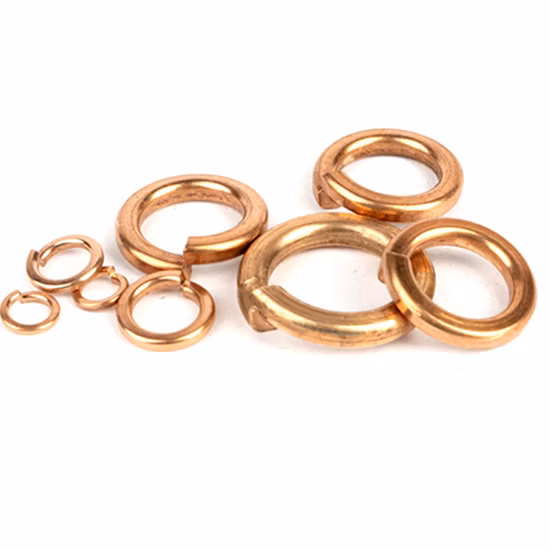Rondella elastica in ottone DIN127, rondella elastica divisa in rame bronzo